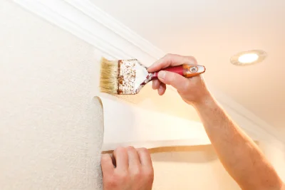 Pose de papier peint à Vaudebarrier — revêtements muraux et toiles de verre